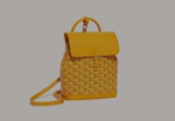 GY Alpin Mini Backpack