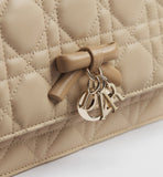 2026 Mini Chain Handbag in Camel-Beige Lambskin S0984OUQC_M10I