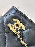 2026 Spring/Summer Collection Small Tote Bag in Black Fine Lambskin |AS6248-B24030-94305